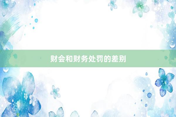 财会和财务处罚的差别