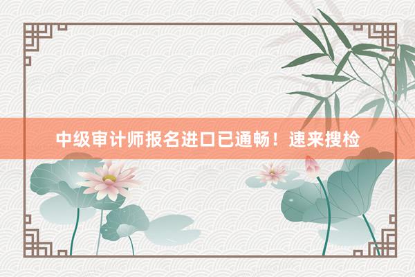 中级审计师报名进口已通畅！速来搜检