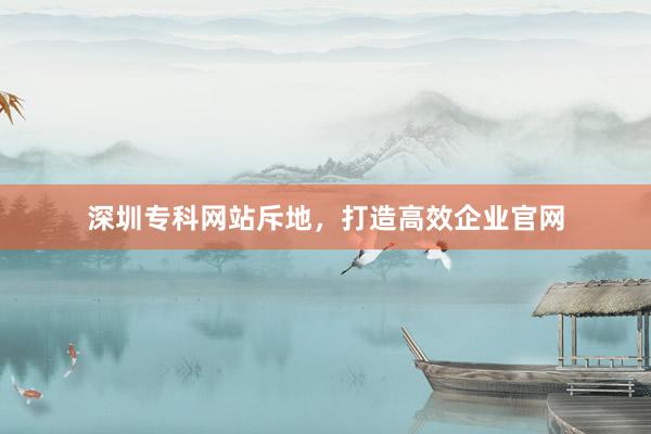 深圳专科网站斥地，打造高效企业官网