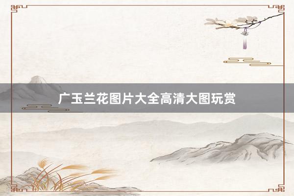 广玉兰花图片大全高清大图玩赏