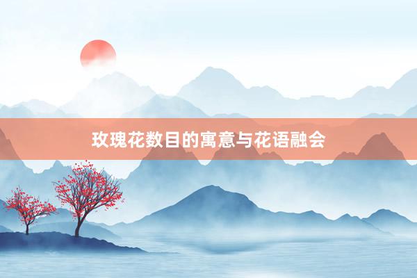 玫瑰花数目的寓意与花语融会